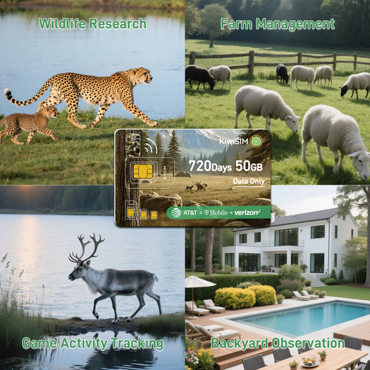 4G LTE Data SIM Card 50GB - 2 Years for Trail Camera & Security Camera, SIM Card for Wildlife Cameras, 3-in-1 SIM Kit with AT&T/T-Mobile/Verizon Coverage, No Contract & Auto Network Switching
